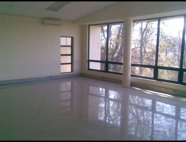 OFFICE FOR SALE IN MONTROSE